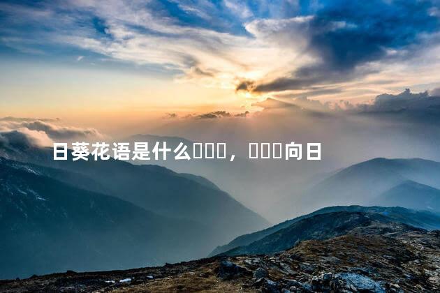 日葵花语是什么，向日葵合适送给什么人